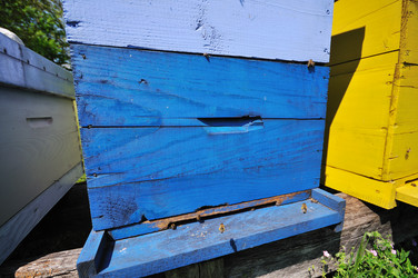 Similar image 1233889