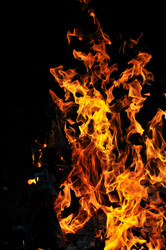 Similar image 1233903