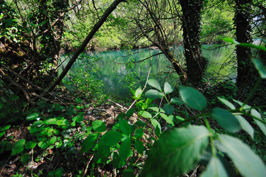 Similar image 1233909