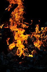 Similar image 1233921