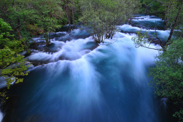 Similar image 1233926