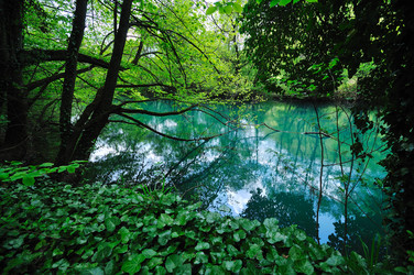 Similar image 1233936