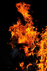 Similar image 1233954