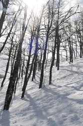 Similar image 1234004