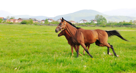 Similar image 1234232