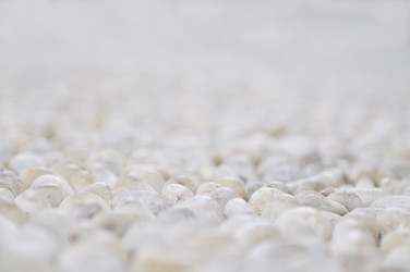 Similar image 1234438