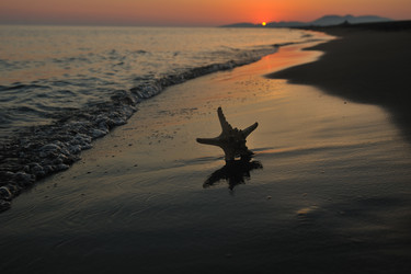 Similar image 1234526