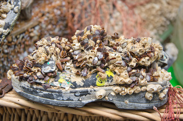 Similar image 1234535