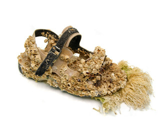 Similar image 1234547