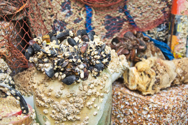 Similar image 1234548