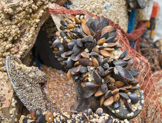 Similar image 1234549