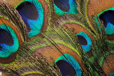 Similar image 1234641