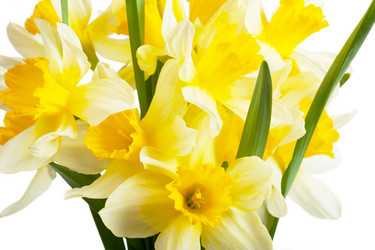 Similar image 1234678