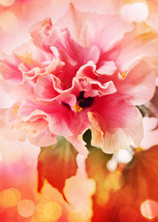 Similar image 1234727