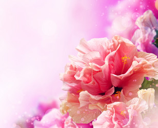 Similar image 1234733