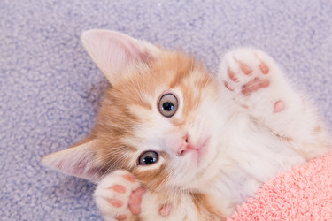 Similar image 1234741