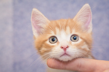 Similar image 1234744