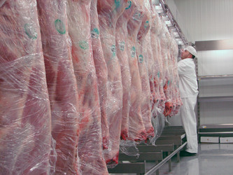 Similar image 1234978