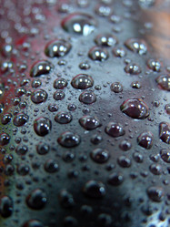 Similar image 1234999