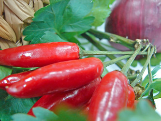 Similar image 1235003