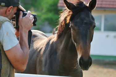 Similar image 1235009