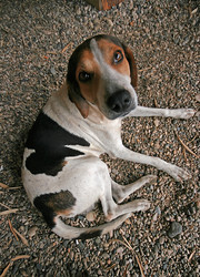 Similar image 1235064