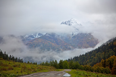 Similar image 1235098