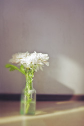 Similar image 1235124