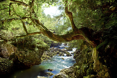 Similar image 1235147