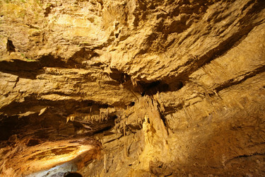 Similar image 1235150