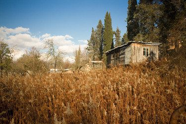 Similar image 1235163