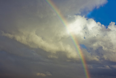 Similar image 1235166