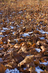 Similar image 1235182