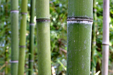 Similar image 1235183