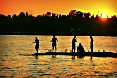 Similar image 1235190