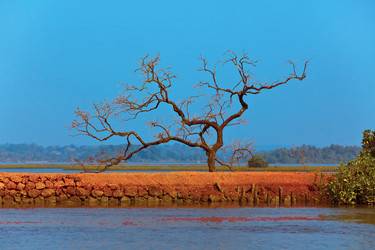 Similar image 1235202