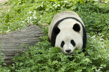 Similar image 1235213