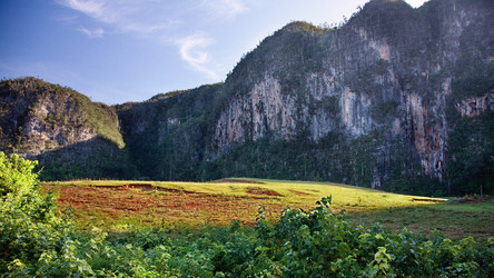 Similar image 1235215