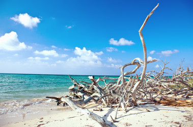 Similar image 1235217