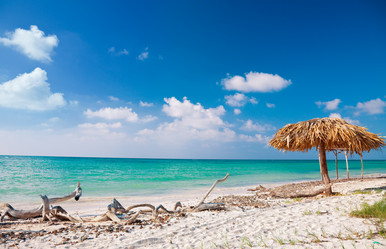 Similar image 1235218