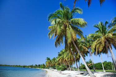 Similar image 1235221