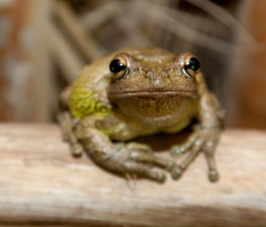 Similar image 1235222