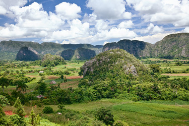 Similar image 1235230