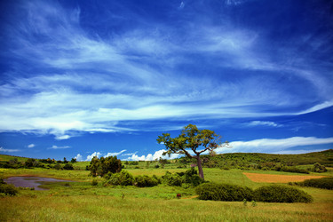 Similar image 1235231