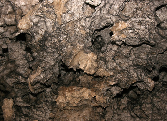 Similar image 1235248