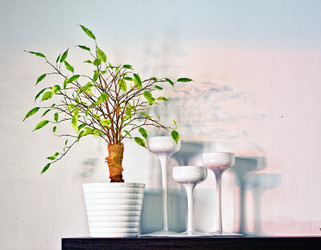 Similar image 1235262