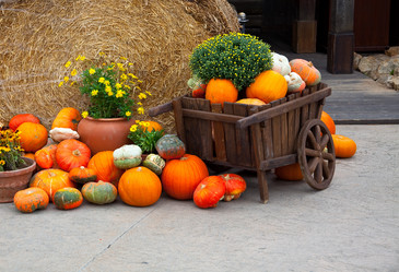 Similar image 1235265