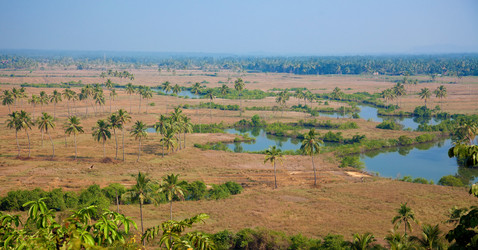 Similar image 1235370