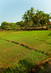 Similar image 1235371