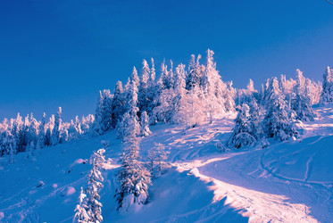 Similar image 1235372